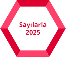 Sayılarla 2025