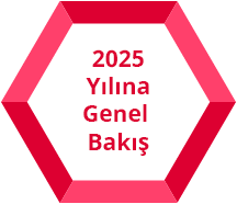 2025 Yılına Genel Bakış