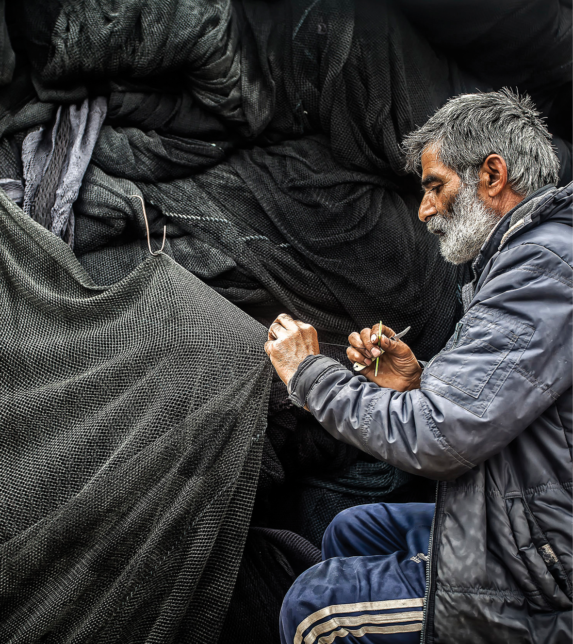 Erdoğan Purçlutepe