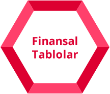 Finansal Tablolar